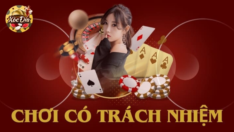 Vai trò của nền tảng trong chính sách chơi có trách nhiệm